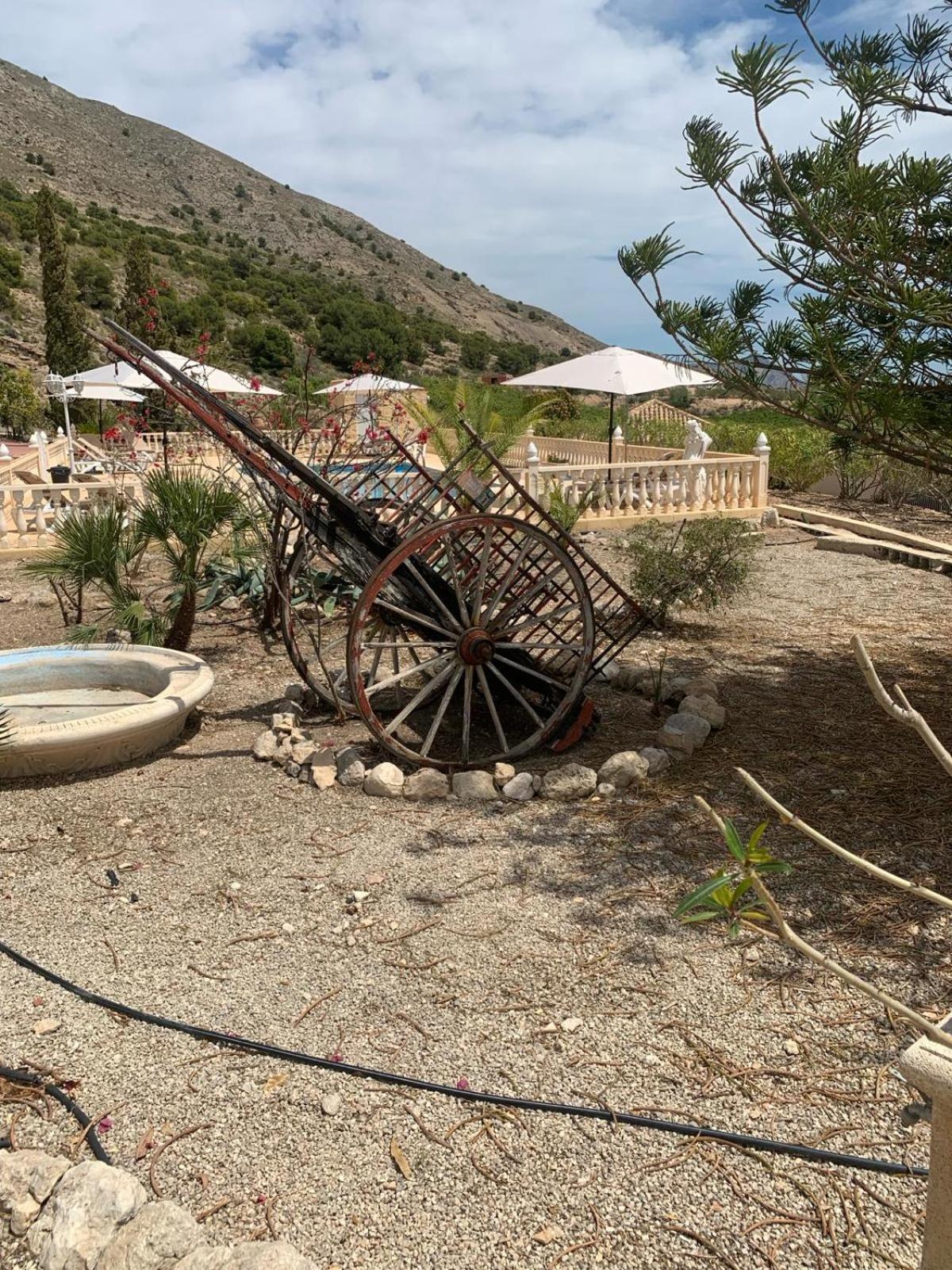 شقة Casa Pajarera فورتونا المظهر الخارجي الصورة